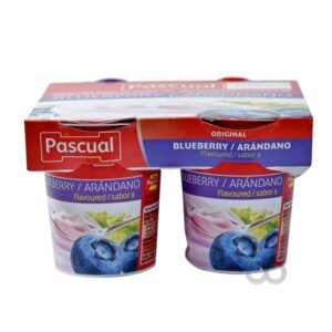 PASCUAL YOGURT BLUEBERRY 120g